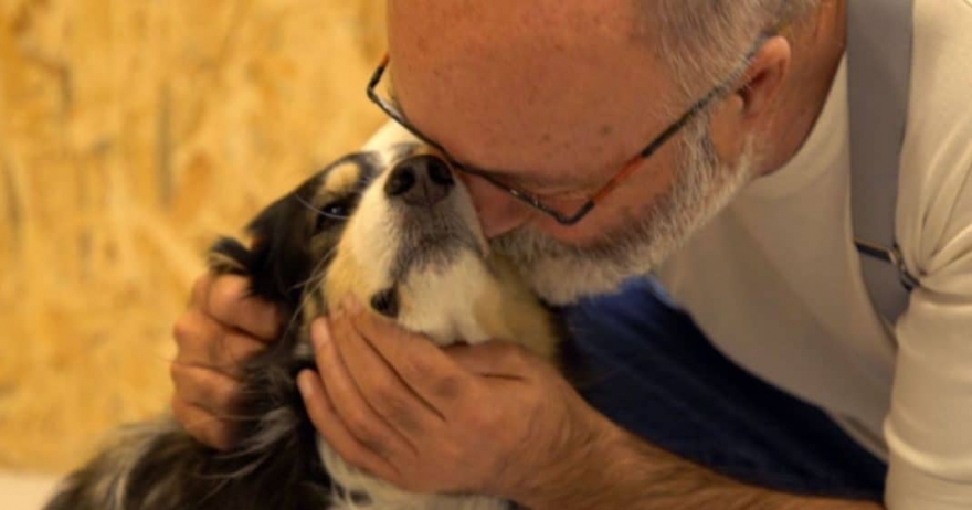 Ο Έλληνας κτηνίατρος που θεραπεύει σκύλους και γάτες με ομοιοπαθητική