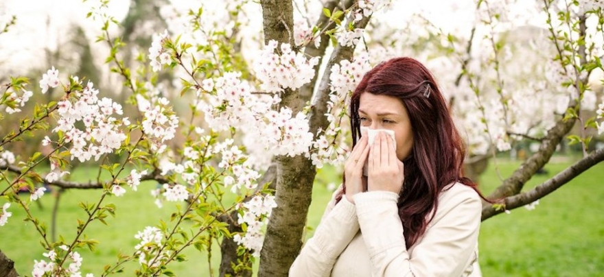 Αλλεργίες και Ομοιοπαθητική