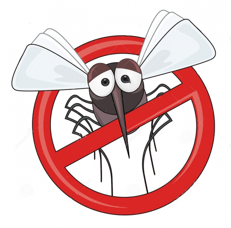 Κουνούπια τέλος! Φυσικοί τρόποι για να τα διώξετε μια και καλή